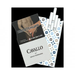 Cavallo by Gino Ferrara