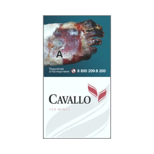 Cavallo Red Wings